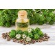 Refined Castor Oil